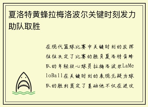 夏洛特黄蜂拉梅洛波尔关键时刻发力助队取胜